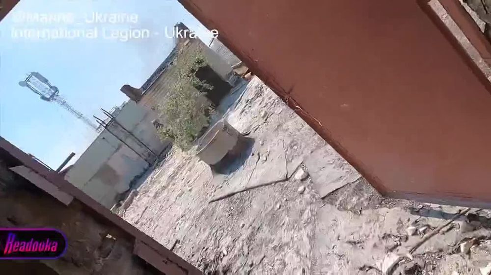 ����������� �������� ���������� � ������� �������� ������������� �� ����������� ���������� �����