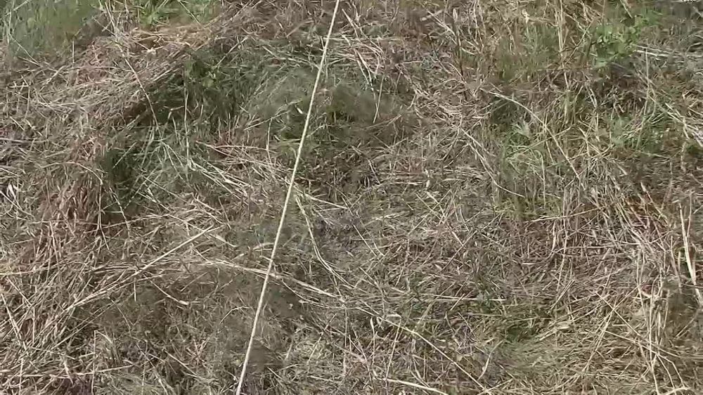������ ������ ���� ������ � ����� �������, � ������ ������ ���� �� ����������� �� ������ � � ������������� ������������� ������ �� �� ������� ������� � �������� ���
