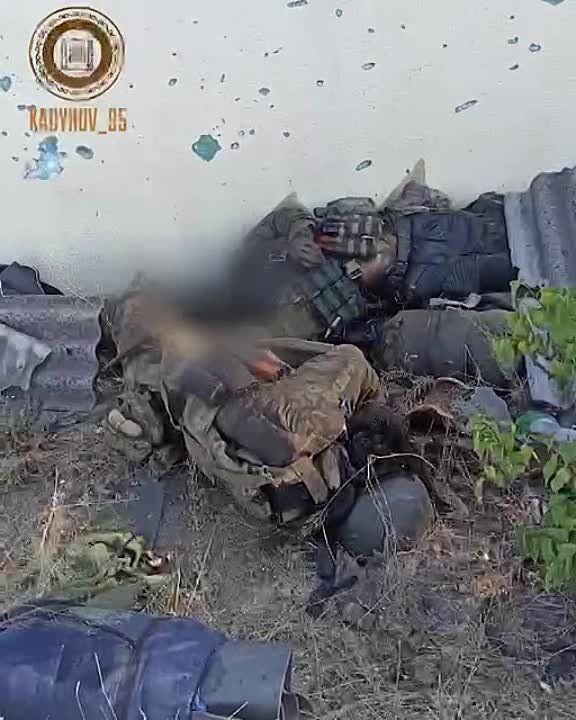 �������: ������������� �������� "�����" ��������� �� ������ �������� �������� ������� ��� ��������� ��������� ���� �������� ������� ��������� �� ����������