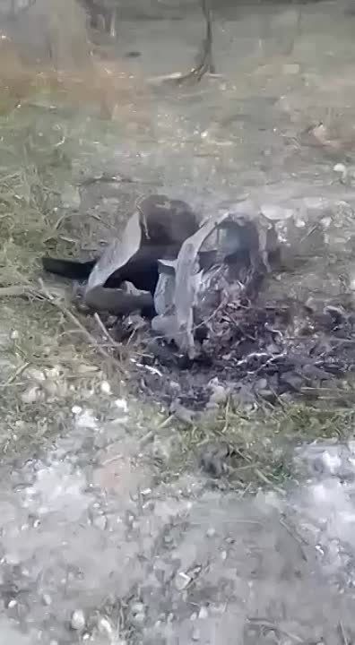 ��� ���� ��� � ���������� ��� ���� ����� �����-�