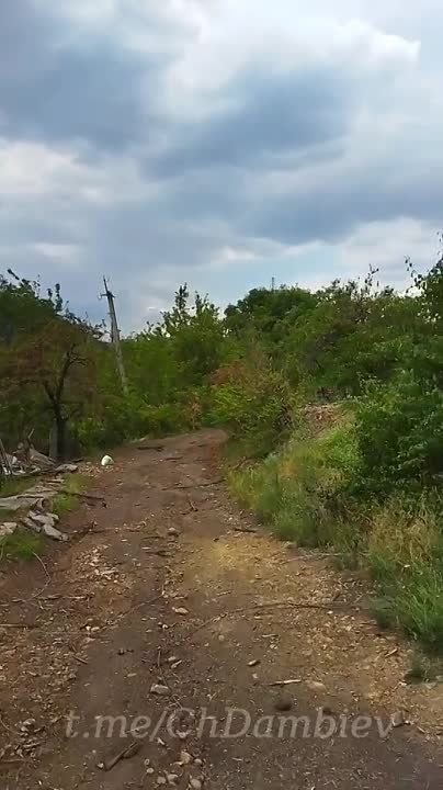 ���� ������ �� �������� ����� � �������� (������� � ������ �� �������� � 20 �� �� ������ ����������)