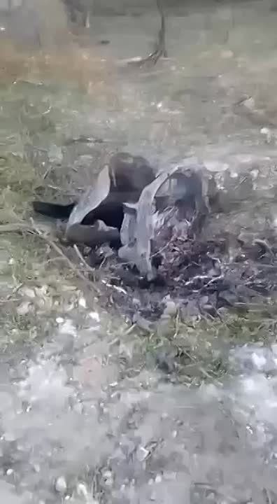 ��������������, ������� ����� ��� ���������� ���� ����� �����-�