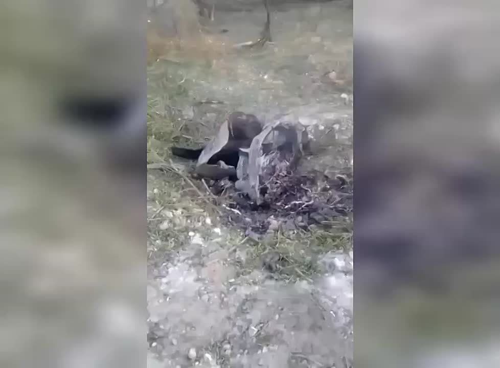 ������������� ������ 9�79-1 ��������� ������-ӻ, ������ ���������� ��� � ������ �������� � ���