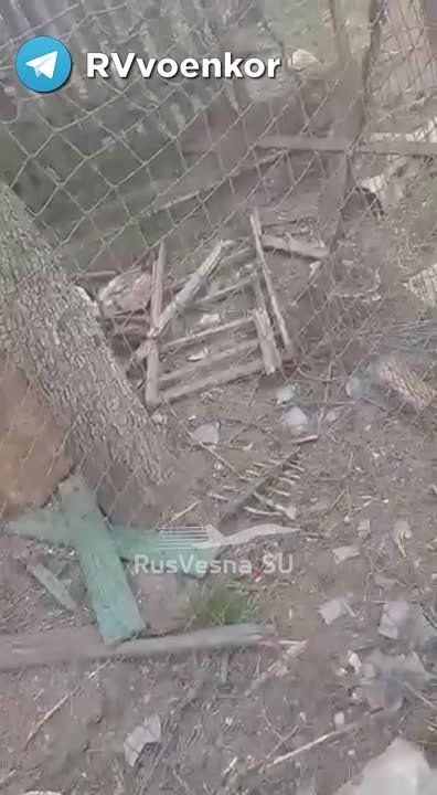 �������� �������� ���: ������� ����� ��������� ������ ������� ��� ����� ���