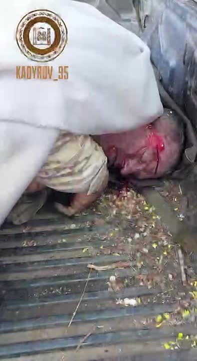 �������: ��� ��� ���� �������� �� ������������� ����������� �������