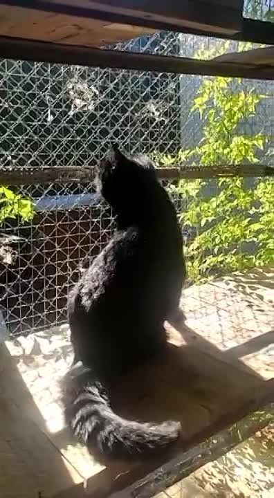 � ��� � �������� ���� �������� ����� ����