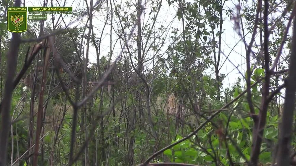 Батальон "Призрак" перерезал трассу Лисичанск-Горское