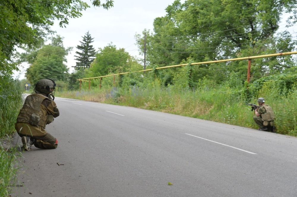 Пехота НМ ЛНР дозачищает Горское
