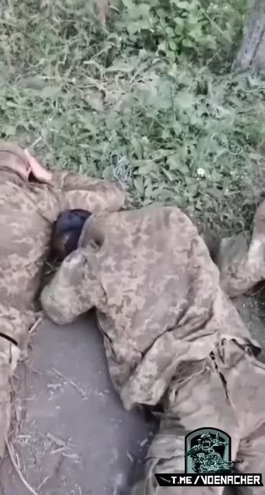 Солдаты ВСУ массово сдаются в плен в Горско-Золотом котле
