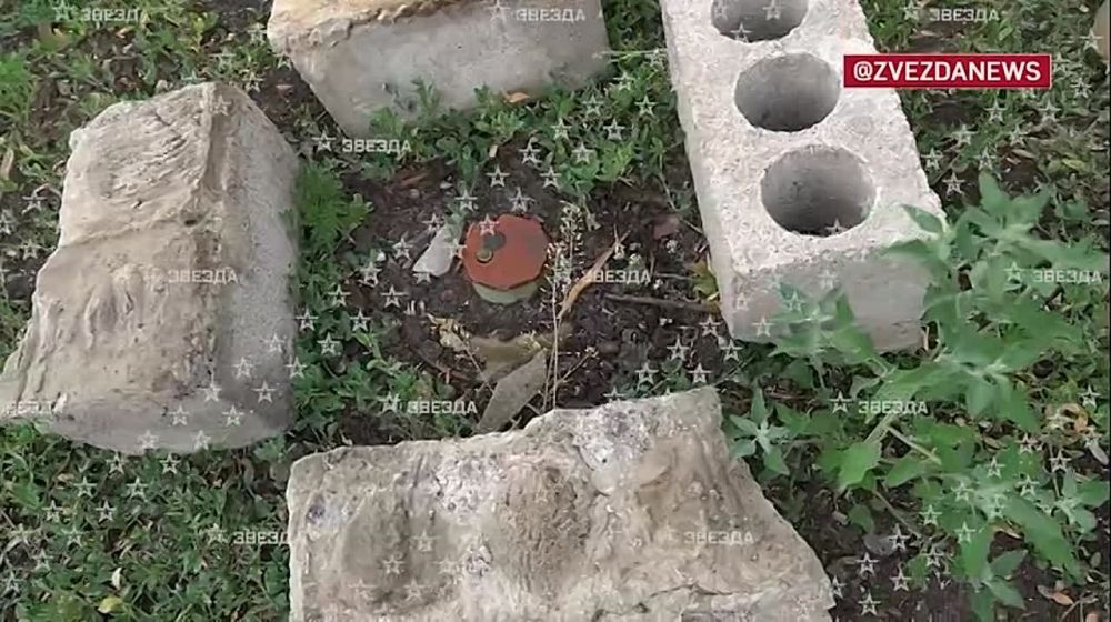 «Хваленые западные наемники первые сбежали в сторону Горского, а затем открыли артиллерийский огонь по своим же бывшим позициям»: как выглядит сейчас освобожденная от нацистов Катериновка