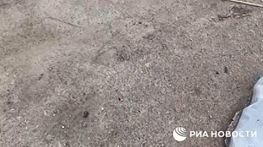 � ������ �������� � ��� ����� ��������� �� ������� ���������� ���������� ����� �������� �� 30 ��� ���� �����, �������� ������������� ��� �������