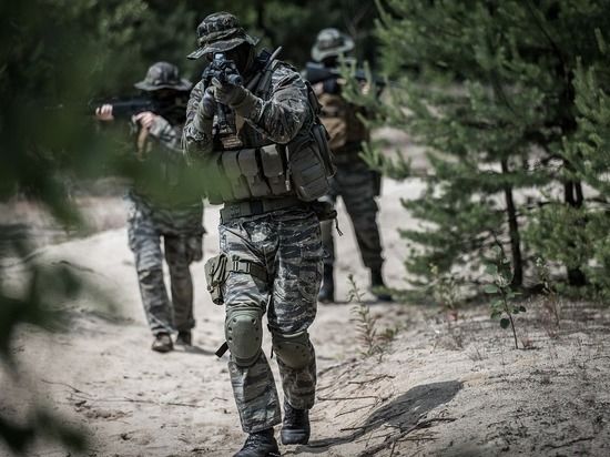 Свыше 800 боевиков ВСУ сдались в плен под Лисичанском