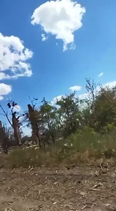 �� ��� ��������, ��� �.�. ������� ��� �������������� ��������� ���������. ������ ����� �� �������� ���������� ������