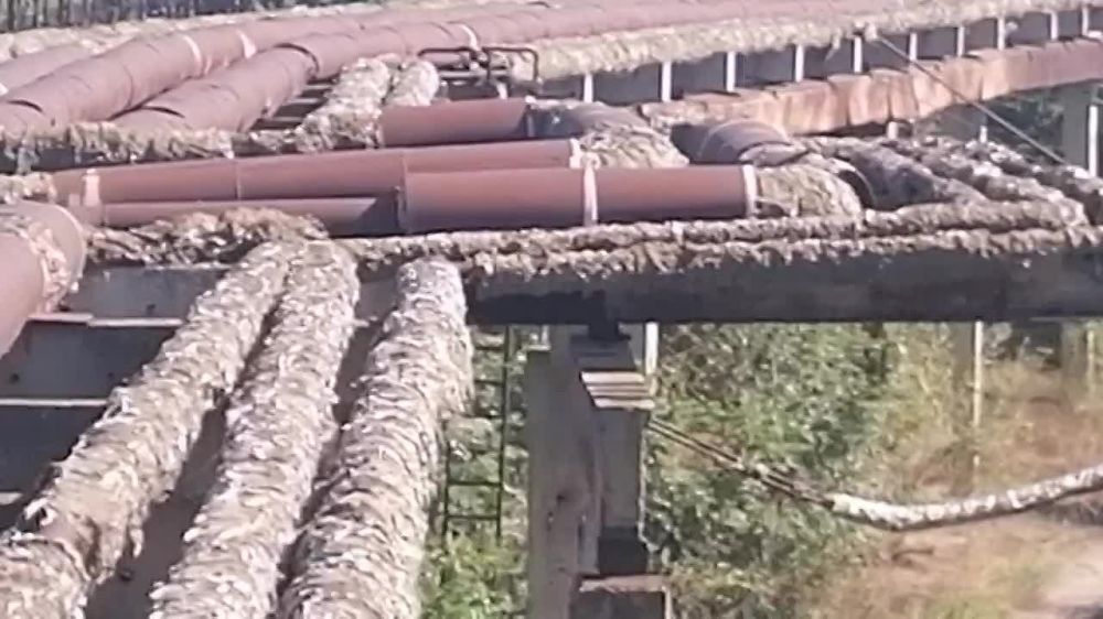 �������� �������� ���������� ��� ��� ������� �������: "���������, �� ��� �����!"