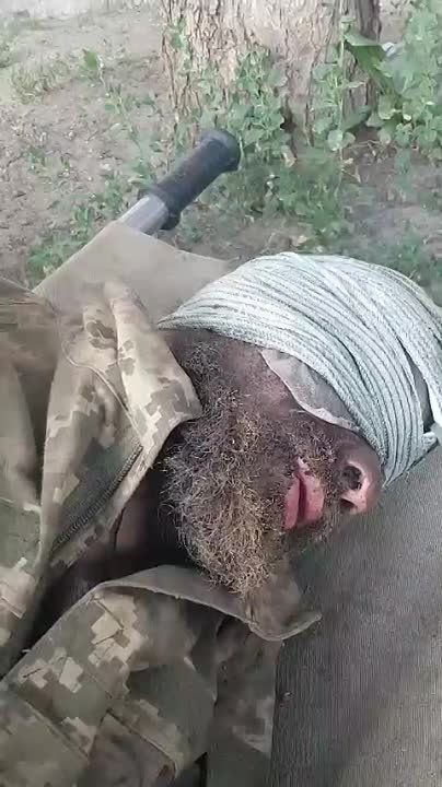 ������� �� 24-� ���������������� ������� ��� ������������ ����� ������� �������� ������ ���������� ������ �� ������