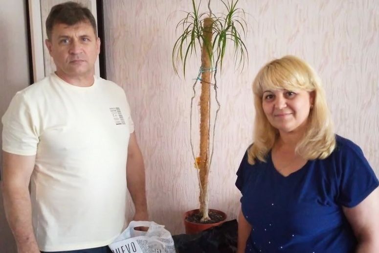 ����� ������� ������� ������������ ������ ����� ���������������, ��������� � 2014 ����