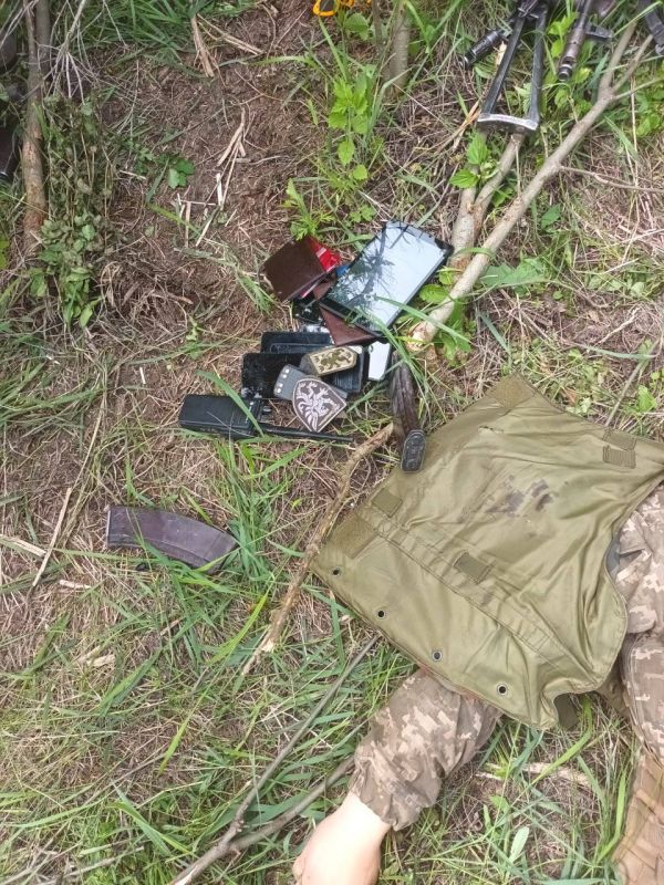 18+ Большое количество украинских «захистников» в лесопосадке вокруг котла Горское-Золотое не пережило встречу с российскими десантниками