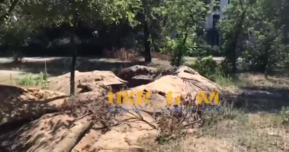 � ������������� ���������� ������� �������� ����� � �������� �����, �������� ��� ������� ���������