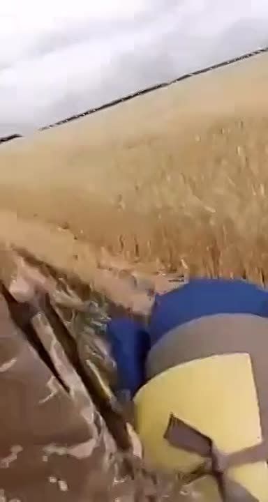 � ���� ���������� �����, ������ ����������� ���������, ���������� �� ����������