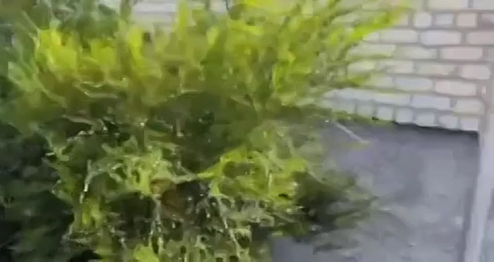 � ���������� ������ ������ ������� �� �������� � ������� ������� ������!!!�