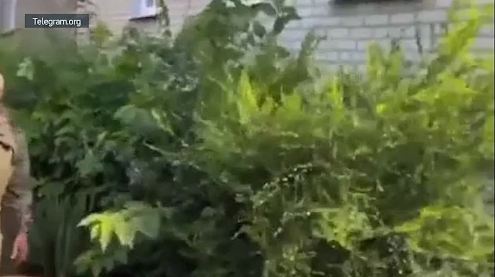 ������� � ����� �������: ��� ��������� �������������� � ����������, ������� ������� ��� ��������� ���������� �� ���