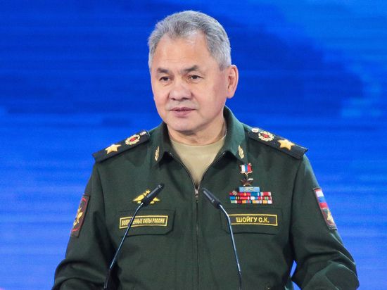 Шойгу доложил Путину об освобождении ЛНР