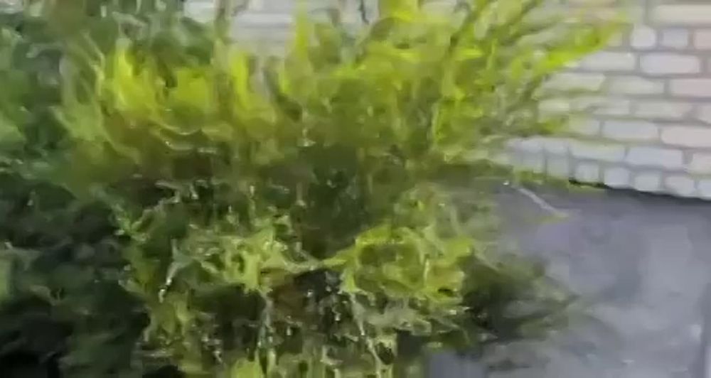 � ���������� ������ ������� �� �������� � ������� ������� ������!!!�