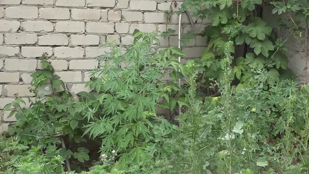 ИГОРЬ КОРНЕТ ПРОИНСПЕКТИРОВАЛ ОРГАНИЗАЦИЮ И НЕСЕНИЕ СЛУЖБЫ СОТРУДНИКАМИ МВД ЛНР В Г. МЕЛИТОПОЛЬ