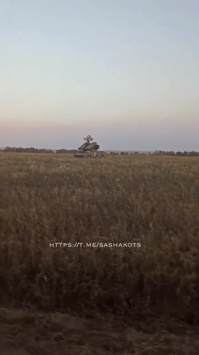 "����, ������� ����" � �������� ��� ����, ����������� � ����������� � ���������� ��� �� �������