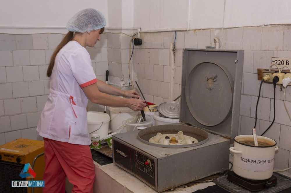 Фермеры из освобожденных территорий получили возможность сдавать молоко производителю молочной продукции – предприятию «Станица»