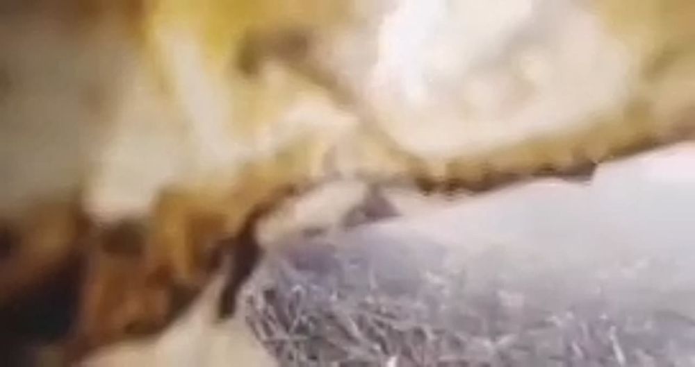 ����� ������ �� ��������������� � �������� ���������� ��������� ��� ����������� �� �������� ������ ��� �������� ������� ���