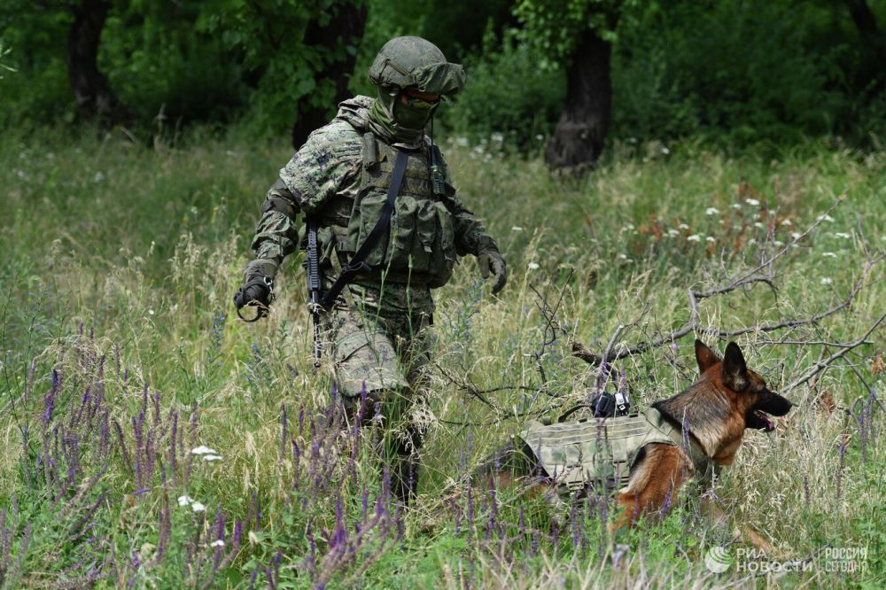 В ЛНР за сутки разминировали пять гектаров территории