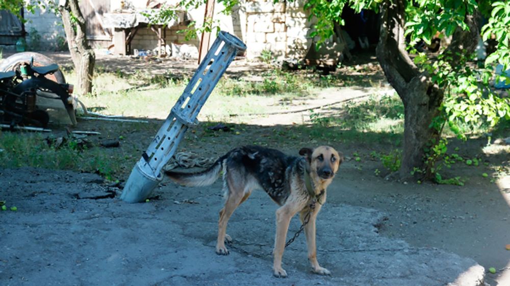 ���������� ������ ������������� ���� ��� �������� � ������������ �������