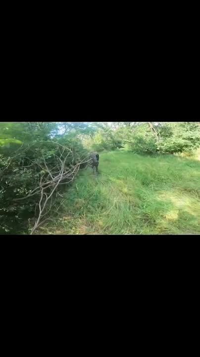 ����������� ������������ ���������� ����������� ��������� �� �������������