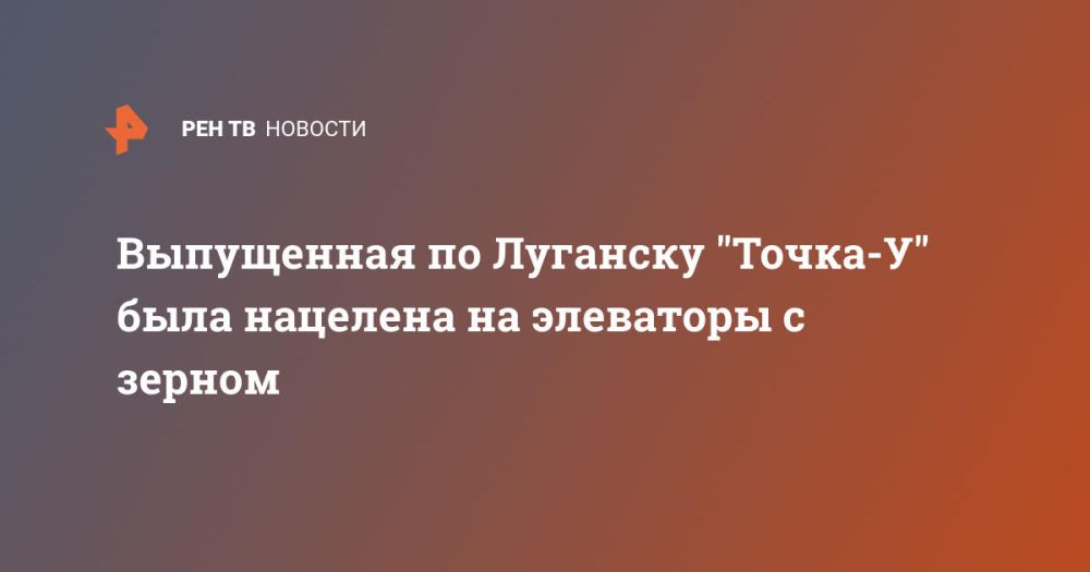 Выпущенная по Луганску "Точка-У" была нацелена на элеваторы с зерном