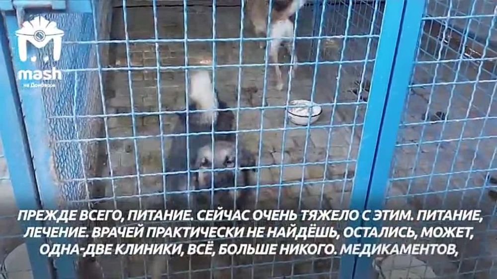 � ������������ ���������� ������������������ ����� ��� �������� � ��� � ������� �� �������� ����