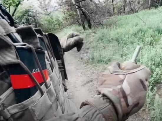 ��� ���������� ����, ���������� ������������ �������