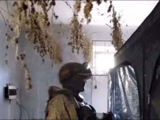 ���������� ������ ���������� �� ��������� ���������� �������� ����� ����������