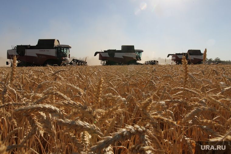 ������������ ��� ����������� ���������� ���� ������� � ���