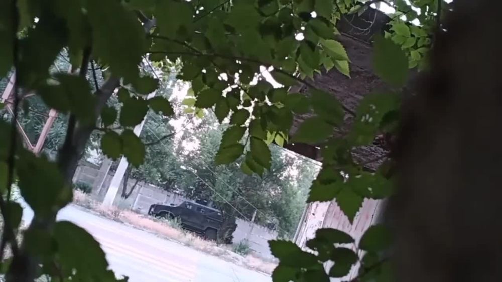 �������� ��������� ��������������� "�����" ��� �����������, ������� ������������� ��� �� �������������