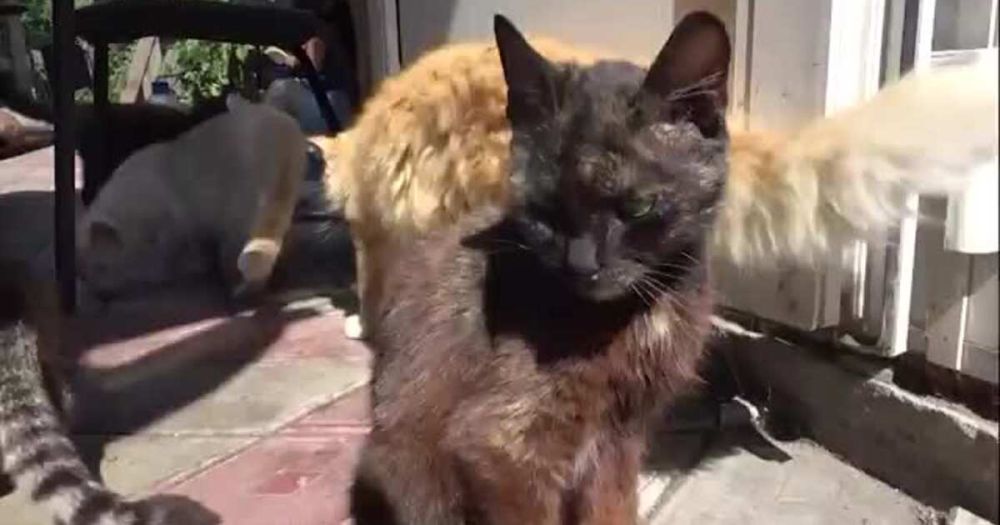 "��������" �������� ���� � ��� ��� ��������� �������� � ����������