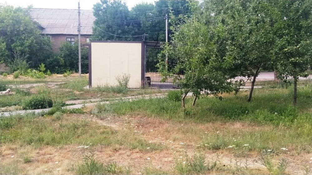 19 ���� � ������ ���������� �������� �������� �������� ������������ ������ �� ����������� ����������������� �. ���������� ���� ����������� ����������, ����������� � �������� ������������� ���