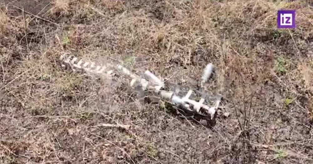 ���� � ������� ��� ��������� ������� ��������� �� ���������� "�������"