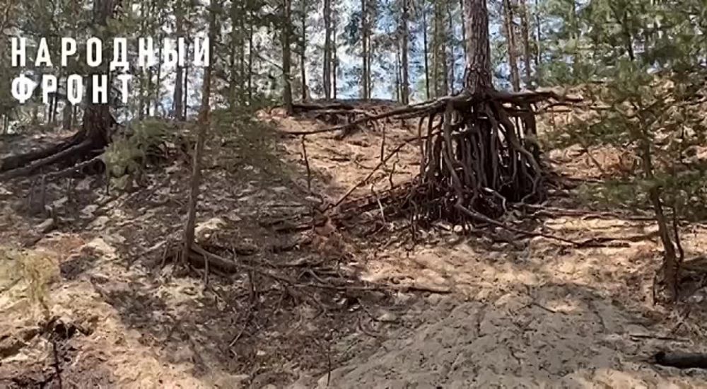 ���������� ������������ ���� ����� ������ ������� �� ������ � �� �������