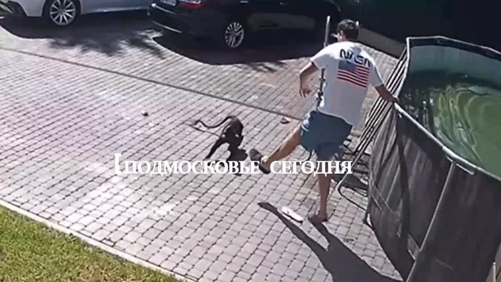 ������� ��� ����� �������� ��� �����.