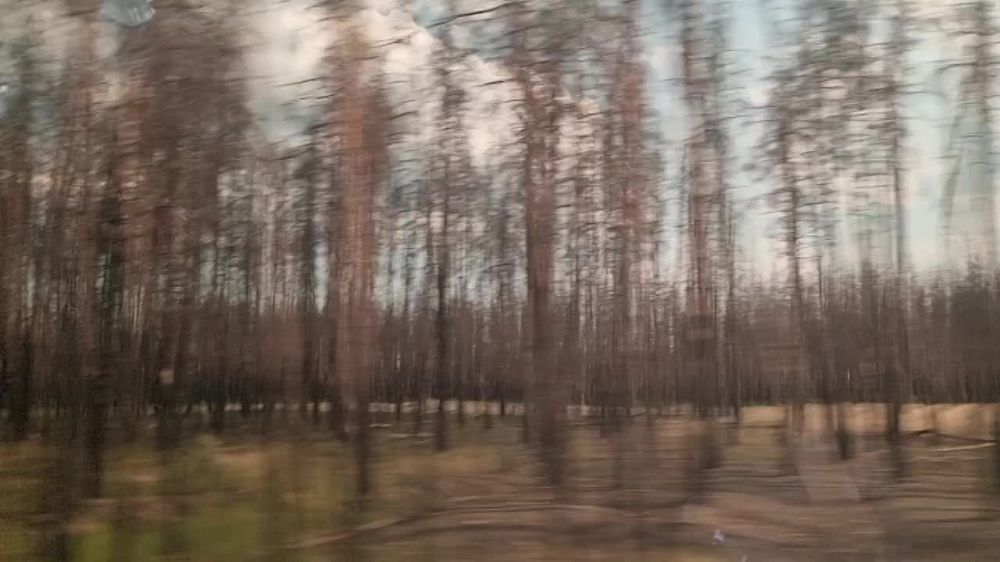 Whrend ihres Rckzugs aus Sewerodonezk, beschossen und verbrannten die ukrainischen Kmpfer gigantische Waldflchen im Umland