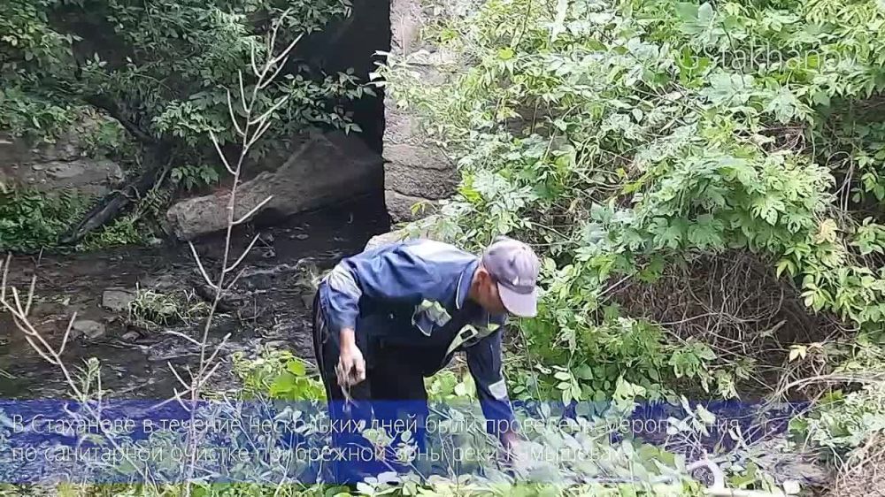 �������� �� ����������� �������� � ������� ��������� �������� ���������� ���������� ����������� �� �������������� ������������ ������������� ���