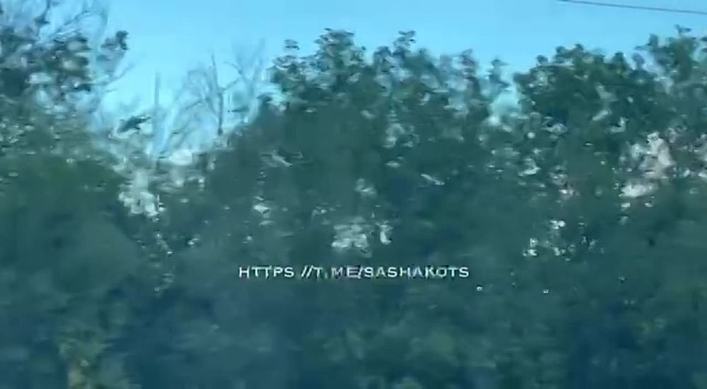 ���-�� �� ���������. "Kotsnews"