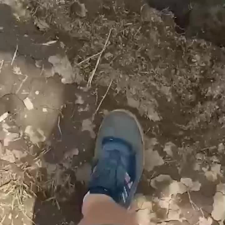 ��������� �� ������������ ������� ������� ��������� �������� �� �������� ������� ������