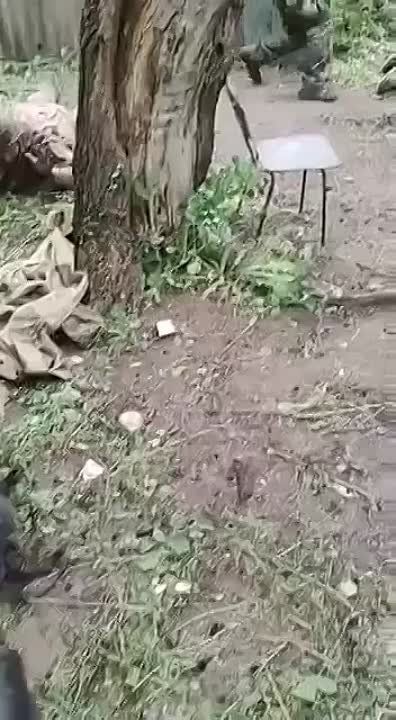 ���-�� �� ��������� ��������� ����������� ������� � ���� ������ ��� ���������� �������